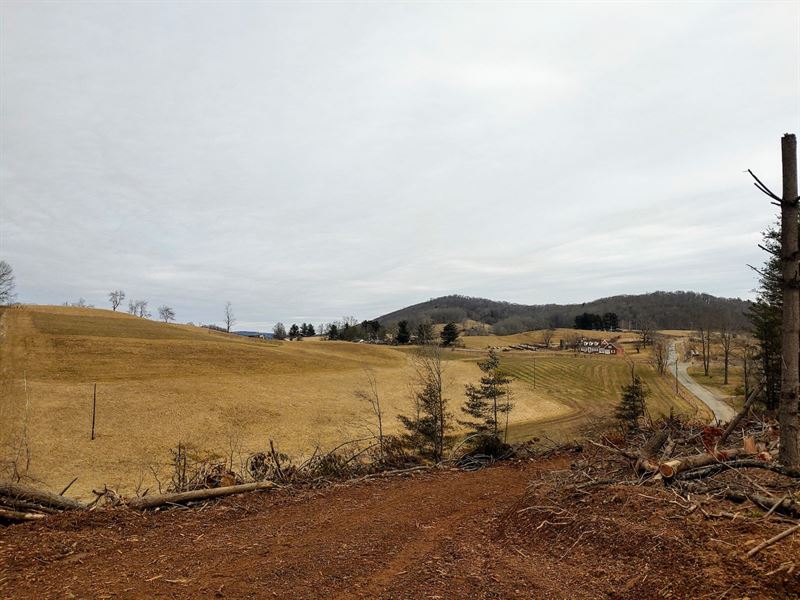 Cleared Land for Sale in Floyd VA : Floyd : Floyd County : Virginia