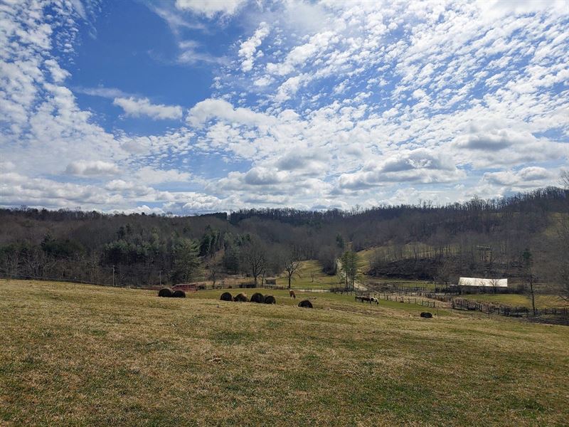 Open Farmland Land in Willis VA Land for Sale in Willis, Floyd County