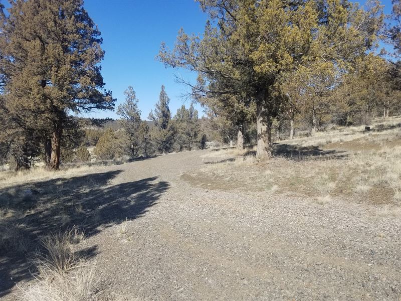 Rural Acreage Northern, CA Septic : Alturas : Modoc County : California