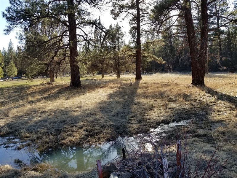 Northern, Ca/Rural Acreage/Domestic : Davis Creek : Modoc County : California