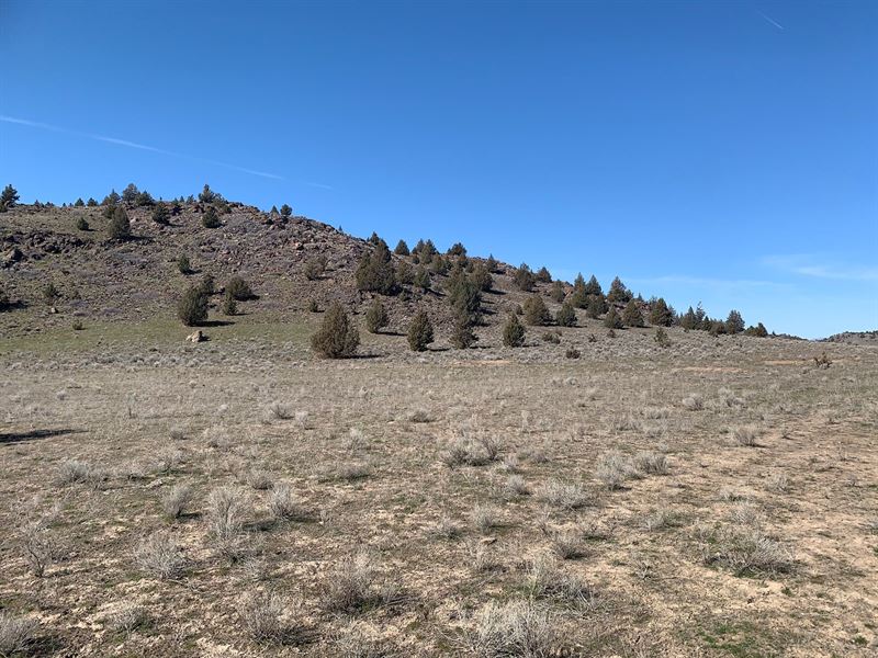 Acreage for Sale in Siskiyou County : Gazelle : Siskiyou County : California
