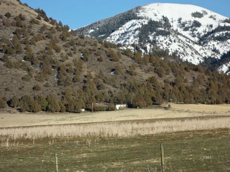Updated 3Bed/2Bath 1551 Sq.Ft 80 : New Pine Creek : Modoc County : California