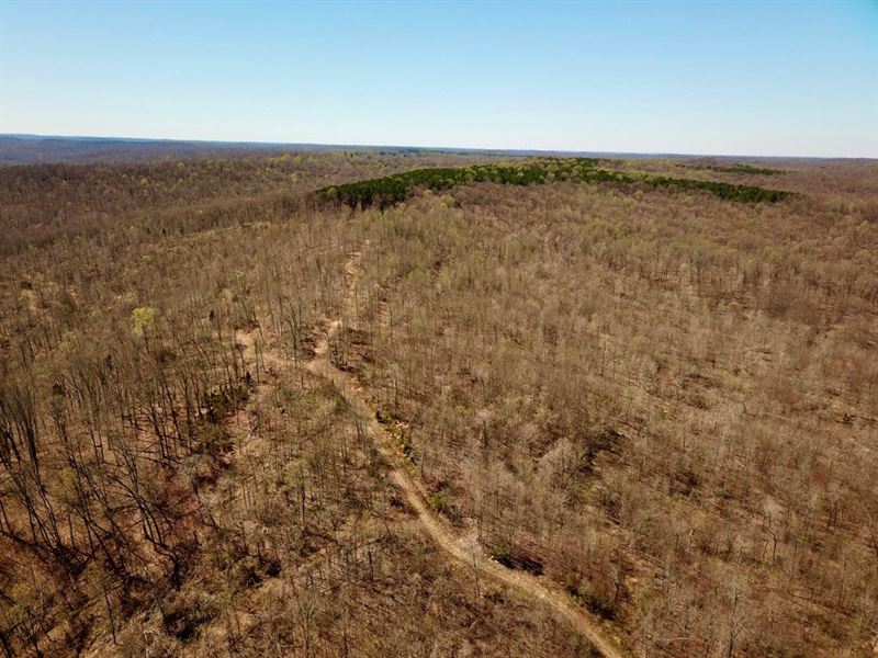 Large Hunting Tract Borders Hoosier : Rome : Perry County : Indiana