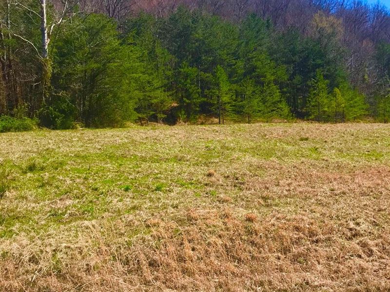 Kentucky Recreational, Hiking : Salt Lick : Menifee County : Kentucky