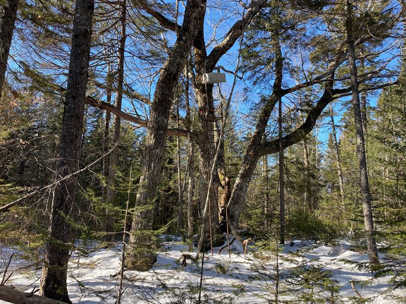 Subdivision Lots in Coastal Maine : Northfield : Washington County : Maine