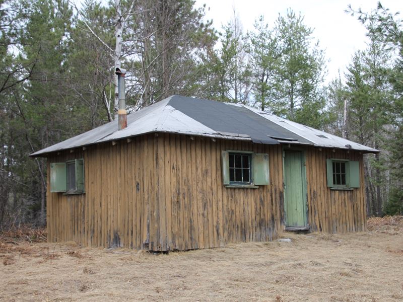 Cabin 40-Acres, Pond, Creek : Atlanta : Montmorency County : Michigan