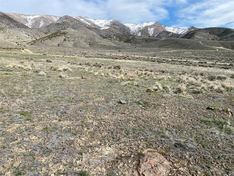 Residential Lot Rye Patch State : Lovelock : Pershing County : Nevada