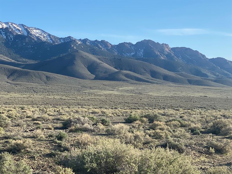 40 Acres For Sale in Unionville Land for Sale in Unionville, Pershing