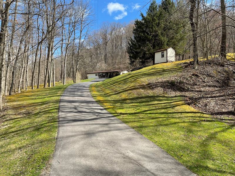 Woodsfield OH Country Home Acreage : Woodsfield : Monroe County : Ohio