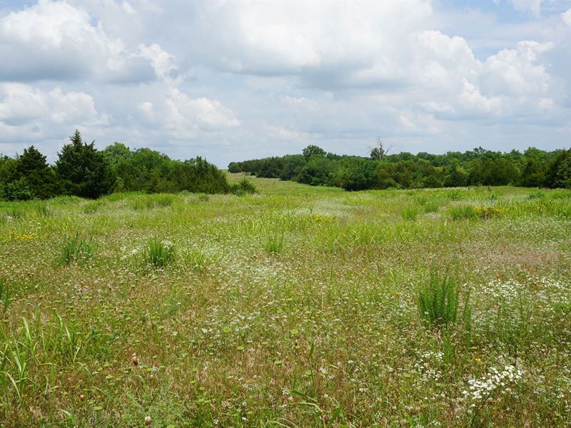 11 Acres Cushing, OK Hunt & Play : Cushing : Lincoln County : Oklahoma