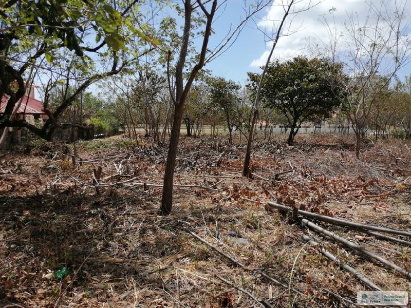 Sale Lot B Ave Bulevar Coronado : Panama