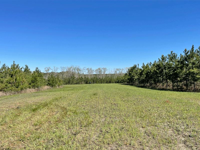Brunson Chapel Tract : Brantley : Crenshaw County : Alabama