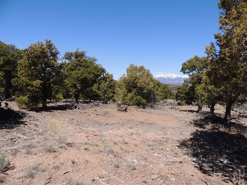 5.25 Acres, Privacy, Great Views : Fort Garland : Costilla County : Colorado