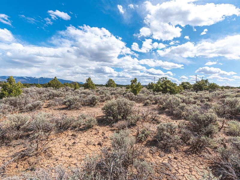 2.53 Acres, Power, Great Fishing : Arvada : Costilla County : Colorado