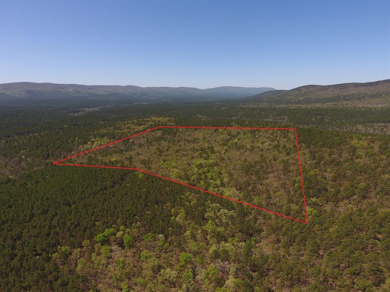 Blue Mountain 40 Acres Adjoining : Hodgen : Le Flore County : Oklahoma