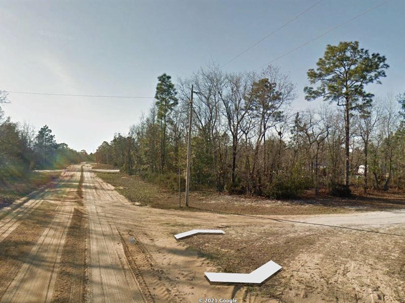 .35 Acre Land in Putnam County : Interlachen : Putnam County : Florida