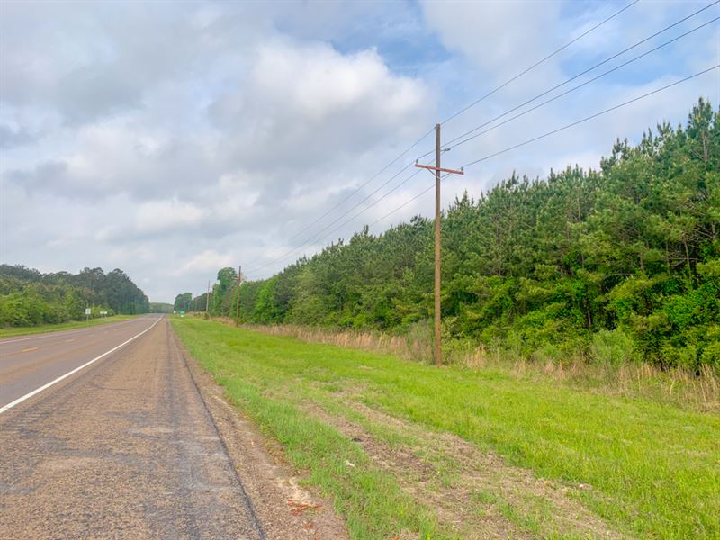 25 Acres Paces Creek T3060-4 : Corrigan : Trinity County : Texas
