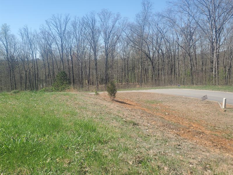 Liquidation, Shiloh Springs Lot : Rutledge : Grainger County : Tennessee