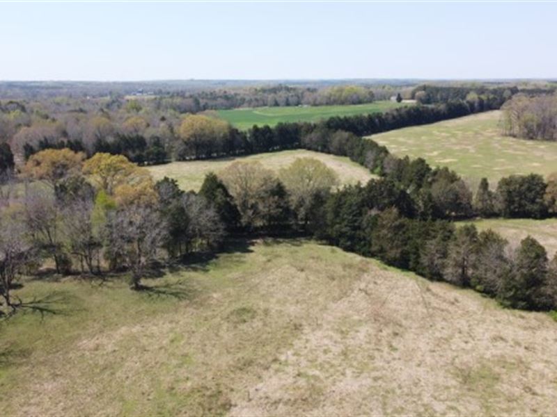 Beautiful Farm, Pond, and Homesites : Rock Hill : Chester County : South Carolina