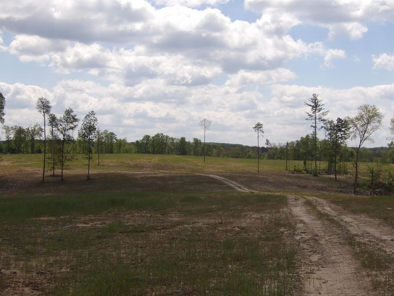 Creeks, Ponds, Views, Cleared Woods : Grandview : Sequatchie County : Tennessee