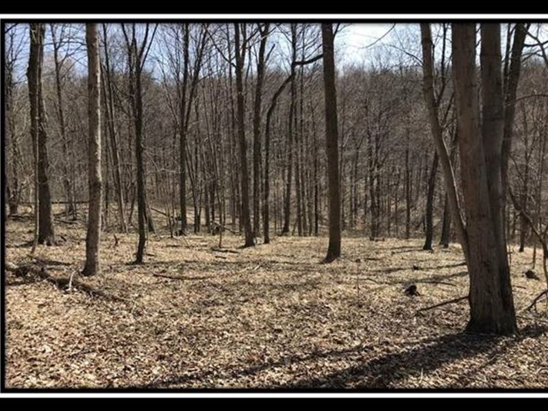 The Woods at Pike Forest, Tract 11 : Bainbridge : Pike County : Ohio
