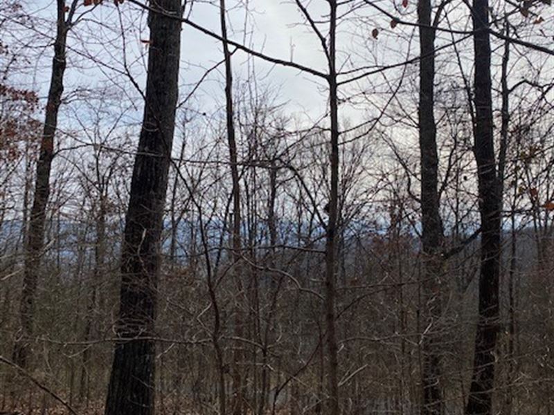 18+/- Ac Wooded with Scenic Views : Pikeville : Bledsoe County : Tennessee