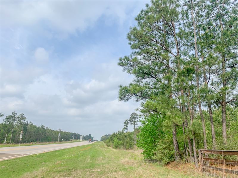20 Acres Asia 3078 TR 2 : Corrigan : Polk County : Texas