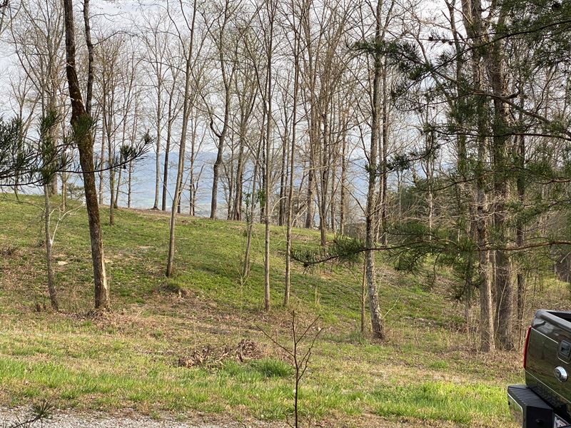 6+/- Acres Wooded, Views : Pikeville : Bledsoe County : Tennessee