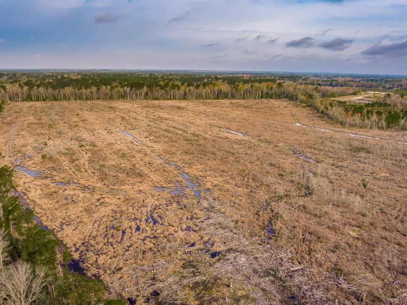 Ample Space, Close to City Limits : Conway : Horry County : South Carolina