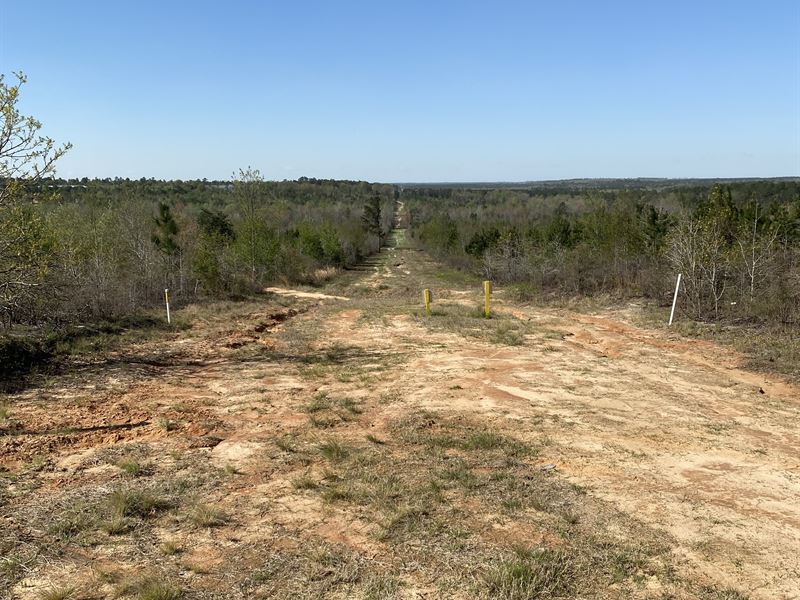 Laura Brodie Road Tract : Gilbert : Lexington County : South Carolina