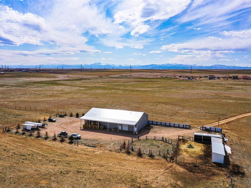 CR 88 207 Acres : Pierce : Weld County : Colorado