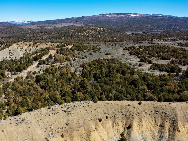 Tierra Amarilla 103 : Tierra Amarilla : Rio Arriba County : New Mexico