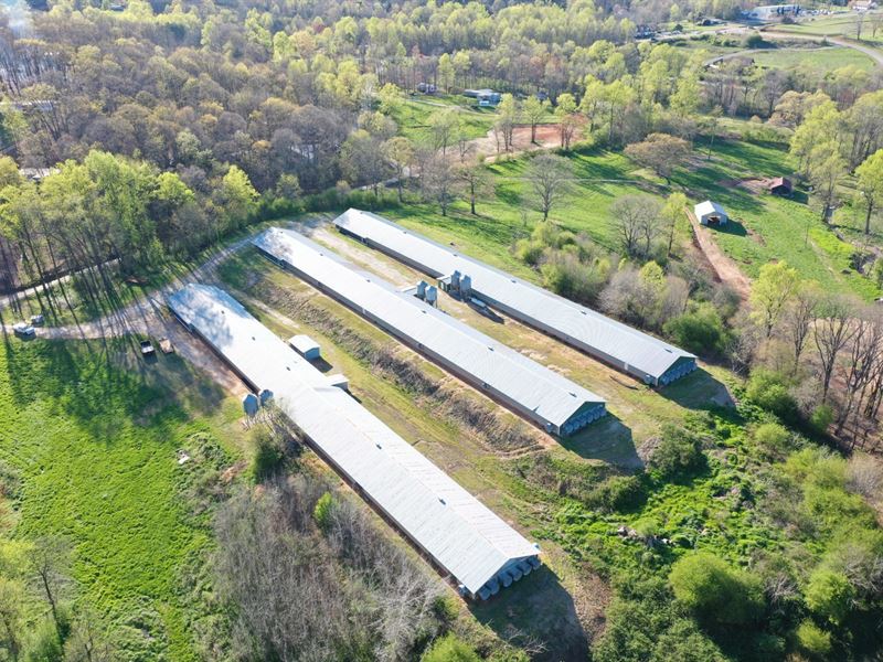 Reduced, Alexander Farm : Cleveland : White County : Georgia