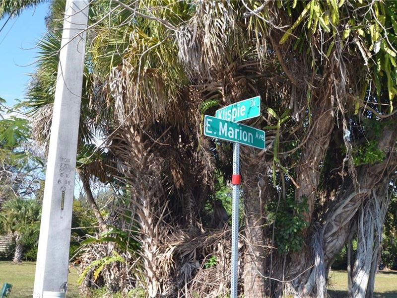 Cg.50 Ac Corner Lot Canal Access : Punta Gorda : Charlotte County : Florida