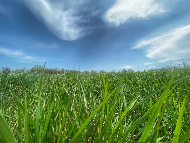 100 Acre Cattle Farm, Bordering : Fair Play : Polk County : Missouri