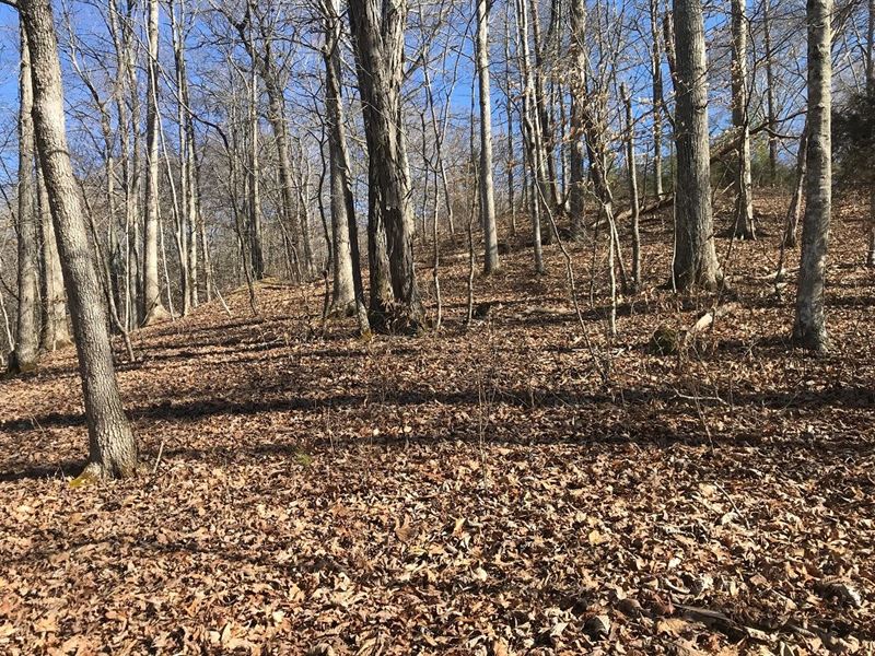East Tennessee Land Hawkins County : Rogersville : Hawkins County : Tennessee