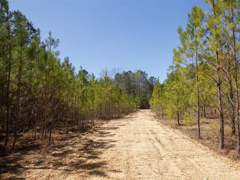 5.47 Acre in Tishomingo County, MS : Mingo : Tishomingo County : Mississippi