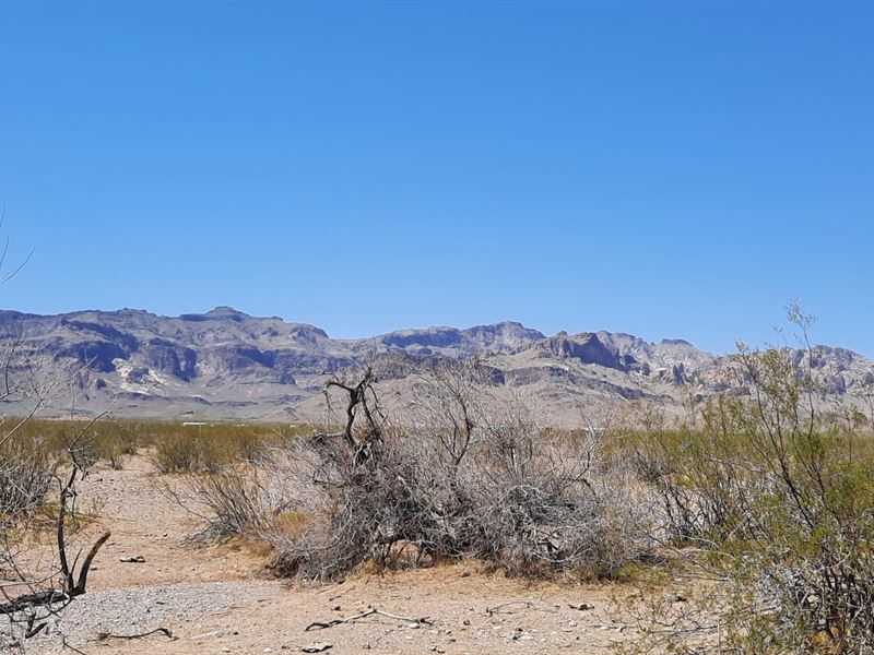 Amazing 2.35 Mountainside Oasis : Golden Valley : Mohave County : Arizona