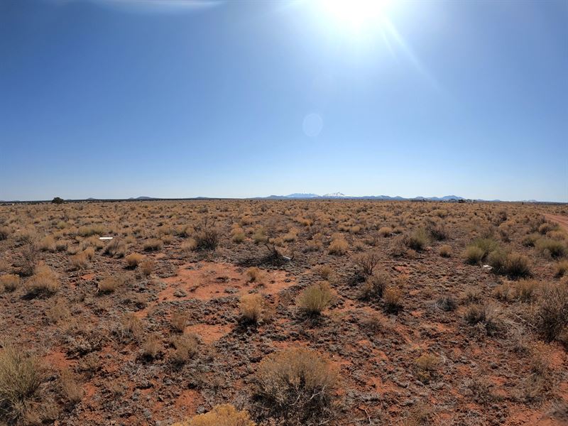 1.28 Acre Parcel Perfect for You : Williams : Coconino County : Arizona