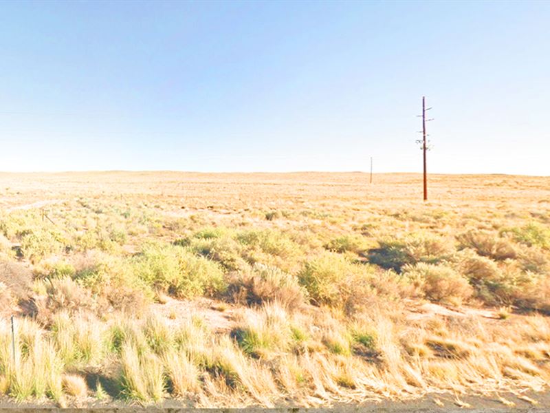 Beautiful 2.5 Ac Lot, Navajo County : Holbrook : Navajo County : Arizona