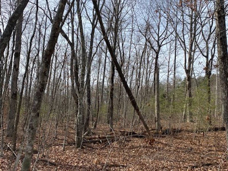 5.00+/- Acres Unrestricted, Views : Pikeville : Bledsoe County : Tennessee