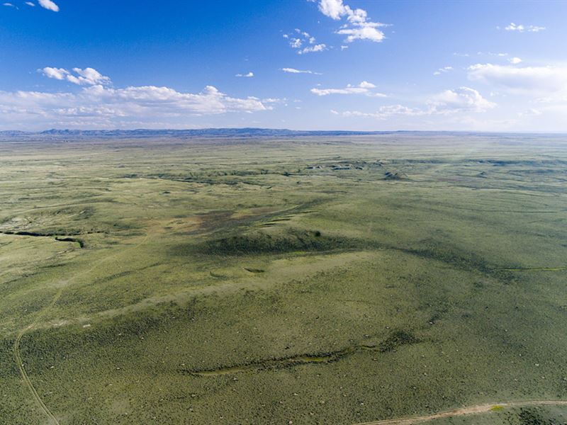 Carlson Pasture : Waltman : Natrona County : Wyoming