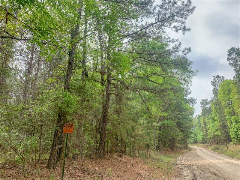 22 Acres Asia 3078-5 : Corrigan : Polk County : Texas
