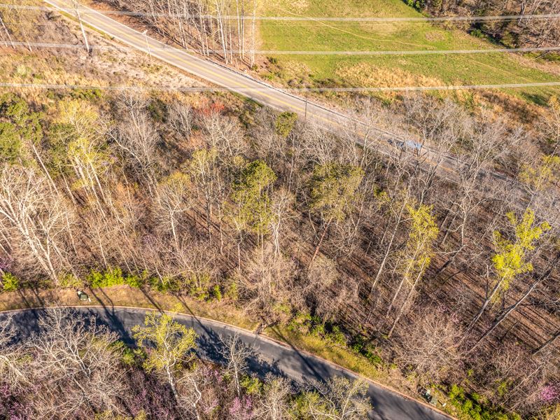 Nearly 1 Acre Building Lot : Rutledge : Grainger County : Tennessee