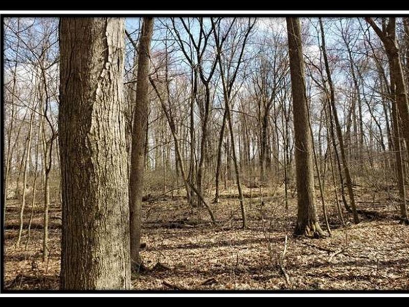 Tract 6, Dent Road Farm : Sunbury : Delaware County : Ohio