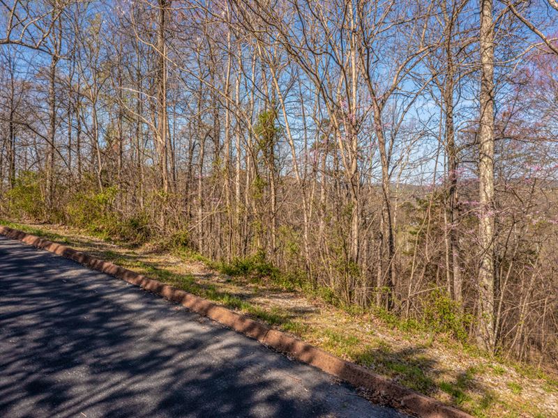 3/4 Acre Building Lot : Rutledge : Grainger County : Tennessee