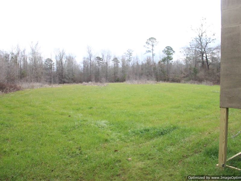 758+/- Acres of Prime Hunting Land : Canton : Madison County : Mississippi
