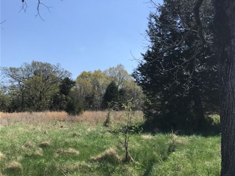 20 Acre Homeplace Fulton County AR : Mammoth Springs : Fulton County : Arkansas