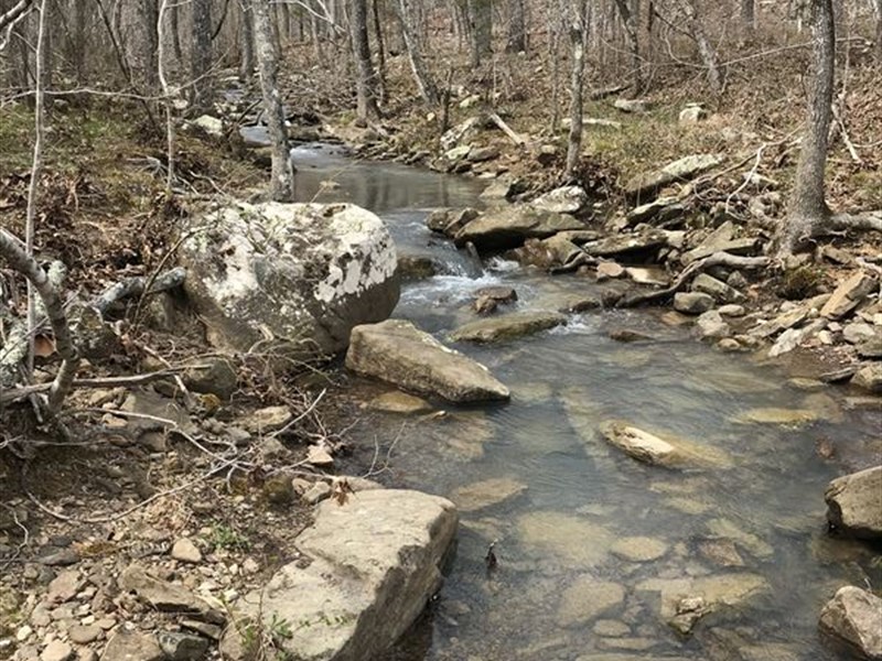 Arkansas Hunting Land, Creek : Leslie : Searcy County : Arkansas