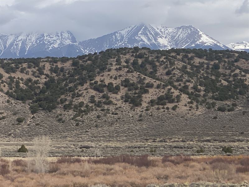 12 Acres a Creek and Power Close : Fort Garland : Costilla County : Colorado